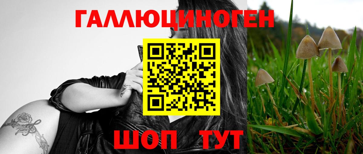 Балашиха  Псилоцибиновые грибы ЛСД  Вход с VPN 
