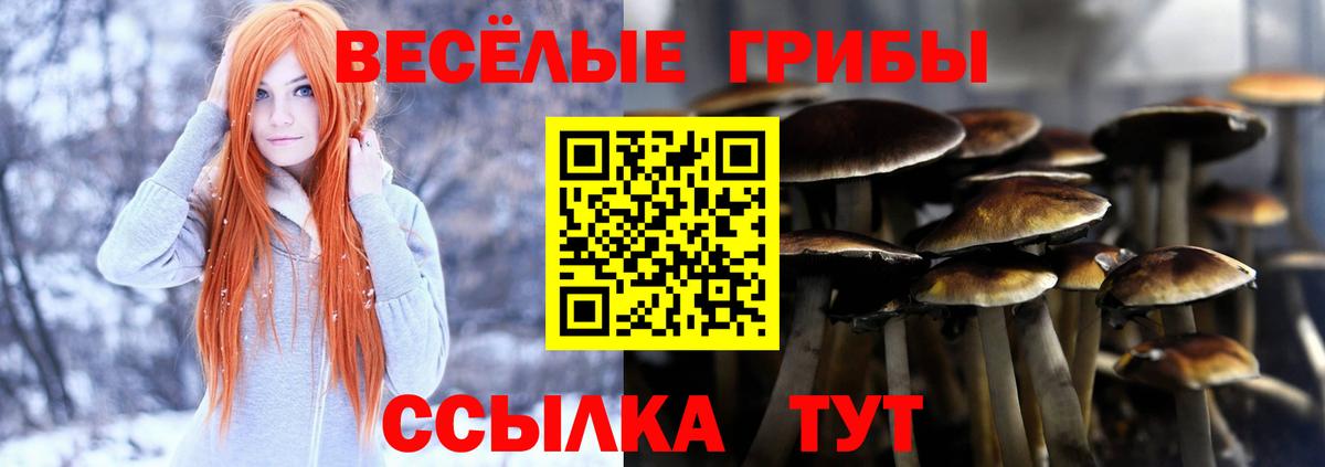 Псилоцибиновые грибы MAGIC MUSHROOMS Балашиха